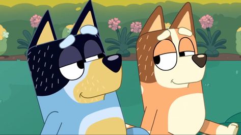 Bandit Heeler Bluey, Bandit And Chilli, Chilli Heeler, Bandit Heeler, Bluey Characters, Cat Hug, Season 3, True Love, Tv Shows