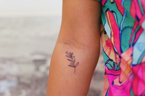 Lemon Branch Tattoo Small, Olive Tree Tattoos, Olive Tattoo, Tree Branch Tattoo, Italy Tattoo, Olive Branch Tattoo, Design Your Own Tattoo, Tattoo Lettering Design, Orchid Tattoo