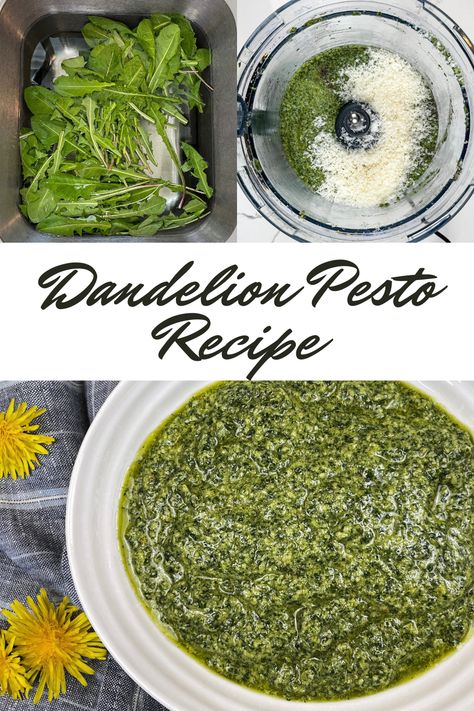 Flavourful pesto recipe made with spring dandelion greens. Full of nutrients and simple to make, this pesto is packed with garlic and lemon and just bursting with flavour. Dandelion Pesto Recipe, Dandelion Greens Recipe, Dandelion Pesto, Dandelion Greens Recipes, Raw Dinner, Edible Weeds, Dandelion Greens, Food Foraging, Lemon Pesto