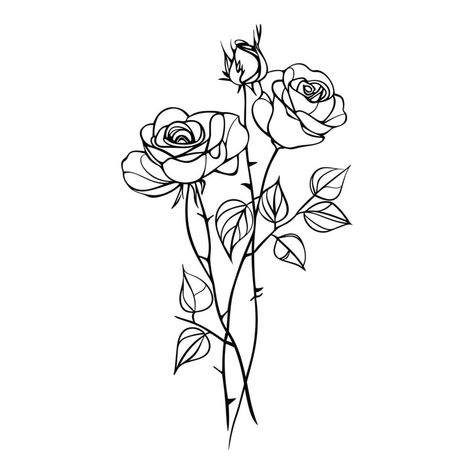 Blossom roses on stem with leaves, line drawing. Flowers in engraving style. Hand drawn realistic open rosebuds Rose With Stem Drawing, Rose Bush Drawing, Leaves Line Drawing, Line Drawing Flowers, Stem Drawing, Bush Drawing, Drawing Flowers, Simple Rose, Tree Saw