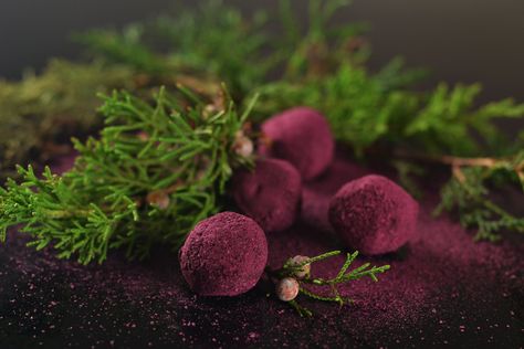 A recipe for a stunning (and delicious) holiday treat, plus an introduction to mindfulness through eating ... Winter Flavors, Tempered Chocolate, Beet Powder, Mindless Eating, Chocolate Festival, Foraged Food, Creative Recipes, Beetroot Powder, Wild Edibles