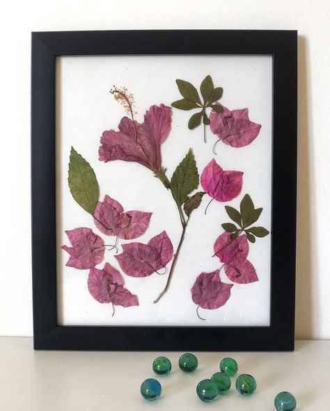 Beautiful Bougainvillea preserved as a pressed flower  DIY photo frame. Pressed Leaves Framed, Pressed Flower Diy, Fallen Flowers, Diy Photo Frame, Pressed Flowers Diy, Press Flowers, Pressing Flowers, Different Kinds Of Flowers, Flower Pressing