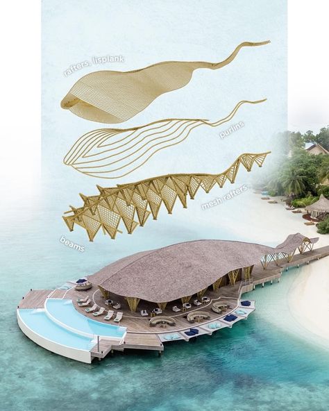 Floating Restaurant Architecture, Bamboo Model Architecture, Bamboo Pavilion Architecture Design, Organic Architecture Concept Sketch, Pavilion Design Concept Architecture, Sheet Presentation, Organic Architecture Concept, Biomimicry Architecture, Bamboo Roof