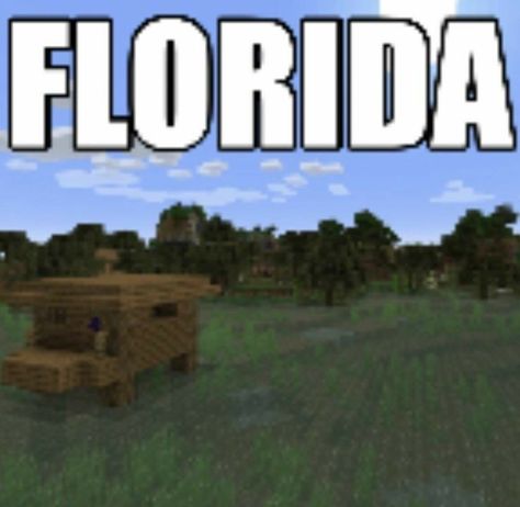 Man Aesthetic, Florida Man, Minecraft Memes, Life Series, 50 States, Low Quality, Funny Me, Funny Laugh, Image Collection