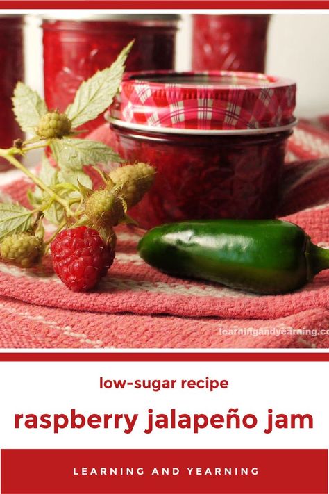 Our everbearing raspberries and jalapeños are ripe at the same time; the perfect combination for an amazing treat - low sugar raspberry jalapeño jam! #jam #lowsugar #low-sugar #raspberries #jalapeno #raspberry #jalapenos #preservingtheharvest #homemade #recipe #natural #homesteading #pomonaspectin #pectin Raspberry Recipes Healthy, Raspberry Jalapeno Jelly, Jalapeno Jam Recipe, Low Sugar Jam, Pepper Jelly Recipes, Raspberry Jam Recipe, Jalapeno Jam, Christmas Jam, Jam Jam