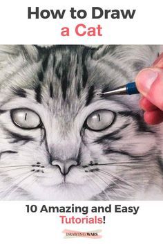 Realistic Cat Drawing, Drawing A Cat, Cat Face Drawing, Draw Cats, Draw A Cat, Cat Drawing Tutorial, Cats Art Drawing, Pencil Drawing Tutorials, Realistic Pencil Drawings