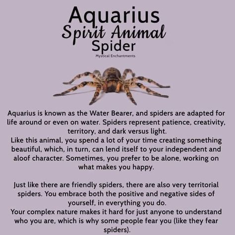 Aquarius Spirit Animal, Symbolism Meaning, Spirit Animal Meaning, Birth Signs, Animal Meanings, Zodiac Things, Aquarius Life, Aquarius Season, Animal Spirit Guides