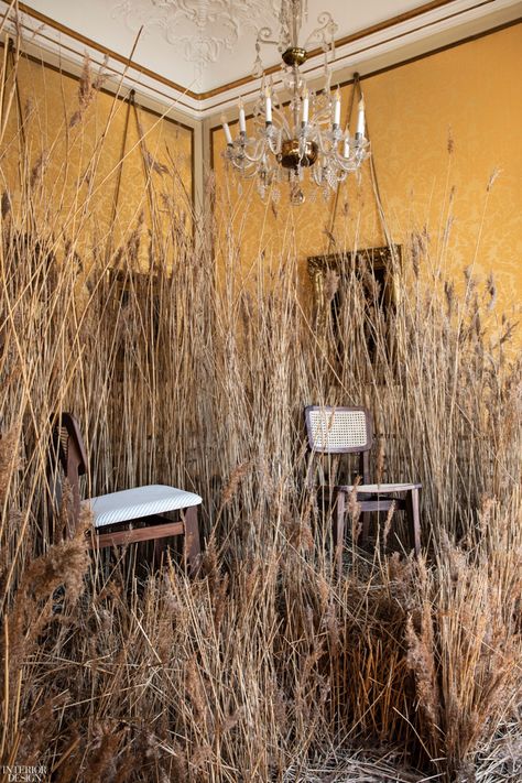 In sharp contrast to the stately ambience of the Institut Français, swamp grass surrounded newly reissued pieces by iconic French designers from Gubi. A chandelier hung over the C-Chair dining chair, nestled in pampas grass dried to a honey hue. Grass Interior Design, Grass Installation, French Designers, Flower Installation, Design Event, Design Magazine, Shop Display, Stage Design, Pampas Grass