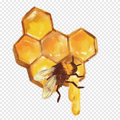 Honey Cartoon, Beehive Art, Honeybee Art, Cartoon Bee, Bug Art, Bee Honeycomb, Bee Honey, Bee Mine, Bee Art