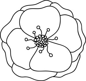 Poppy Flower Coloring Pages, Poppy Flower Craft, Poppy Template, Remembrance Day Activities, Remembrance Day Art, Poppy Craft, Remembrance Day Poppy, Poppy Pattern, Remembrance Day