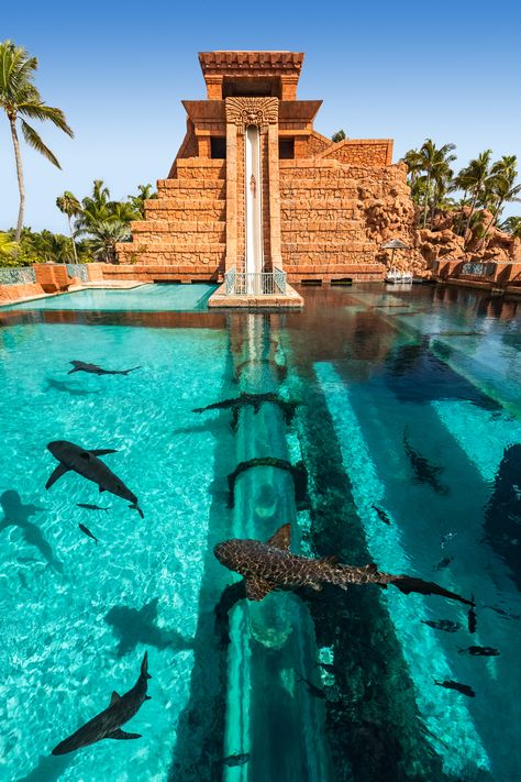 From water slides to lazy rivers, these resort water parks are perfect for family vacations down south. Las Bahamas, Bahamas Honeymoon, Bahamas Resorts, Bahamas Trip, Paradise Island Bahamas, Places I Wanna Visit, Atlantis Bahamas, Bahamas Travel, Bahamas Vacation