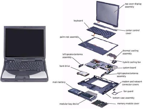 laptop components | Laptop parts comes in different categories. A laptop notebook is a ... Computer Diy, Gaming Graphics, Computer Learning, Learn Computer Coding, Computers Tablets And Accessories, Computer Build, Computer Shortcuts, Computer Coding, Laptop Parts