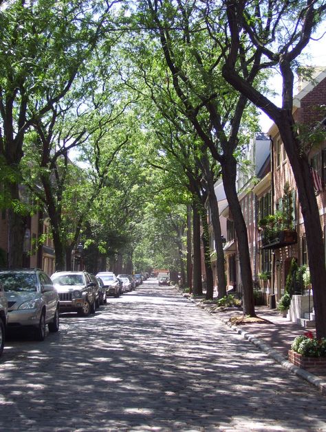 dappled sunlight, tree-lined street. Sunny Street Aesthetic, Person Under Streetlight, Mitski Songs, Street With Trees, Journey Collage, Tree Lined Street Aesthetic, Tree Lined Street Neighborhood, Aspen Trees Tattoo, Summer Streets