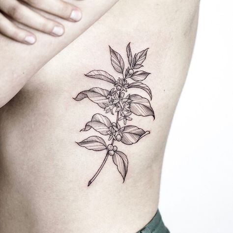 Coffee Tattoos on Instagram: “Coffee tattoo by @rachainsworth⠀ ⠀ #coffeetattoo #coffeelover #baristalife” Botanisches Tattoo, Neat Tattoos, Model Tattoos, Tattoo Cafe, Coffee Tattoo, Floral Tattoos, Coffee Tattoos, Harry Potter Tattoos, Plant Tattoo