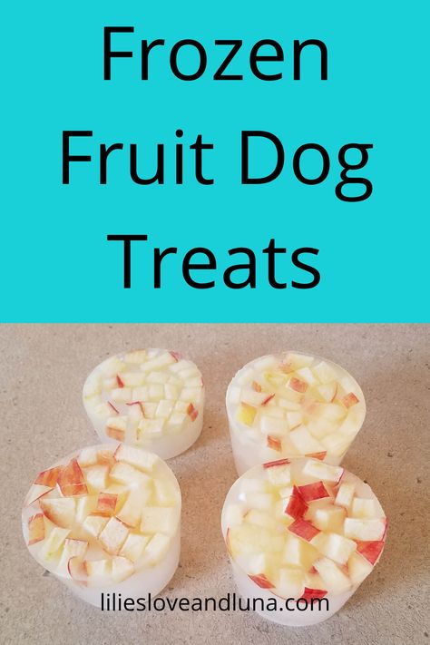 Fruit Dog Treats, Frozen Dog Treats Recipes, Dog Ice Cream Recipe, Frozen Dog Treats Homemade, Fruit Treats, Pet Treats Recipes, Easy Dog Treat Recipes, Frozen Dog Treats, Frozen Pumpkin