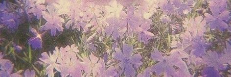 Notion Tour, Flower Header, Pack Twitter, Cute Headers For Twitter, Random Aesthetics, Vintage Flowers Wallpaper, Lavender Aesthetic, Twitter Header Pictures, Cute Headers