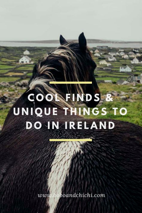 Shannon Ireland, Traveling Destinations, Things To Do In Ireland, Dingle Peninsula, Ireland Road Trip, Ireland Itinerary, Travel Ireland, Ireland Travel Guide, Ireland Trip