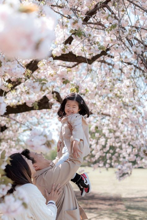 Steph V Photography | Portrait Photographer in Tokyo, Japan Cherry Blossom Pregnancy Photos, Blossom Photoshoot Family, Cherry Blossom Family Photos, Cherry Blossom Photoshoot, Blossom Photoshoot, Cherry Blossom Outfit, Evening Flowers, Blossom Pictures, Library Photo Shoot