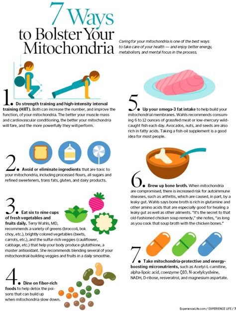 Mitochondrial Health, Food As Medicine, Cellular Respiration, Heart Brain, Body Energy, Naturopathy, Hormone Health, Health Knowledge, Holistic Nutrition