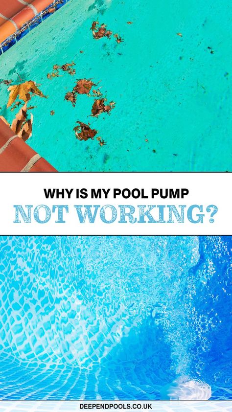 Your pool pump is an essential part of your pool's filtration system, circulating water to keep it clean and inviting. So when your pool pump stops working, it's a major inconvenience. Pool Care, Electrical Problems, Keep It Clean, Pool Pump, Drain Cover, Work Harder, Pool Water, Outdoor Swimming, Stop Working