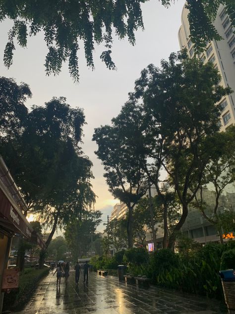 orchard road 🌈🦦 singapore views aesthetic plants sunset rain vibes Orchard Road Singapore Aesthetic, Singapore Aesthetic, Singapore View, Rain Vibes, Views Aesthetic, Orchard Road Singapore, Aesthetic Plants, Asian Aesthetic, Fall In Luv