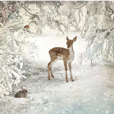 Temu Aesthetic, Deer Wallpaper, Woodland Animal Art, Watercolor Blog, Christmas Landscape, Bug Art, Woodland Christmas, Winter Wallpaper, Christmas Scenes