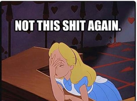 Cinderella Disney Humor, Humor Disney, Morning Photo, Raven Cycle, Maggie Stiefvater, Memes Humor, Disney Memes, Anime Meme, Photo Blog