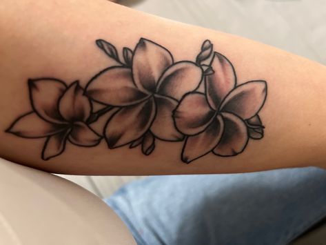 Plumeria Shoulder Tattoo, Plumeria Flower Tattoos Hawaii, Hawaii Flower Tattoo Plumeria, Dainty Plumeria Tattoo, Realistic Plumeria Flower Tattoo, Plumeria Flower Tattoos, Tropical Flower Tattoos, Plumeria Tattoo, Lotus Flower Tattoo