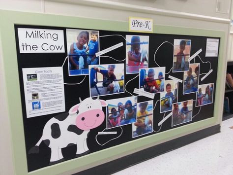 Evidence of Learning display Evidence Of Learning Display, Evidence Of Learning Boards Preschool, Childcare Displays, Cow Facts, Milk The Cow, Farm Unit, Daycare Ideas, Child Care, Teacher Classroom