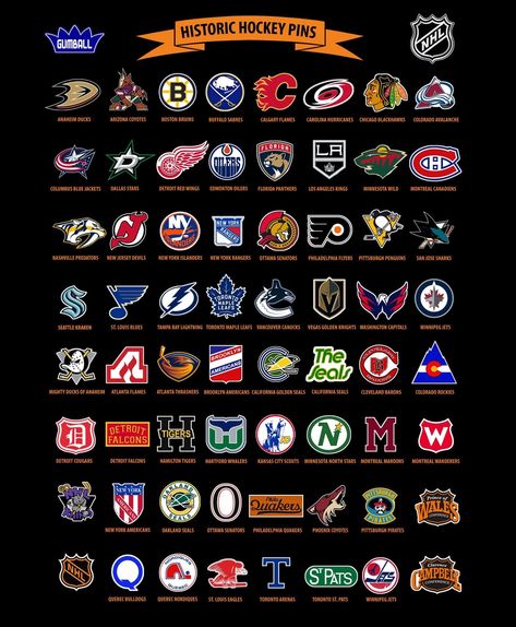 Nhl Hockey Teams, Philadelphia Flyers Hockey, Nhl Teams, Sports Trophies, Flyers Hockey, Sport Logos, Hockey Logos, Nhl Logos, Hockey Stuff