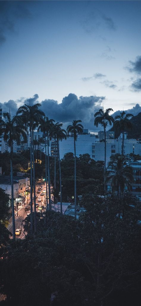 Sunset in Rio #StateofRiodeJaneiro #brazil #palmtree #unsplash #androidwallpaper #android #iPhoneXWallpaper Iphone Xs Max Wallpaper Hd, Xs Max Wallpaper, Chat Wallpaper Whatsapp, New Live Wallpaper, Food Iphone, 4k Wallpaper Iphone, Free Wallpaper Backgrounds, Hd Wallpaper Android, Bbq Food