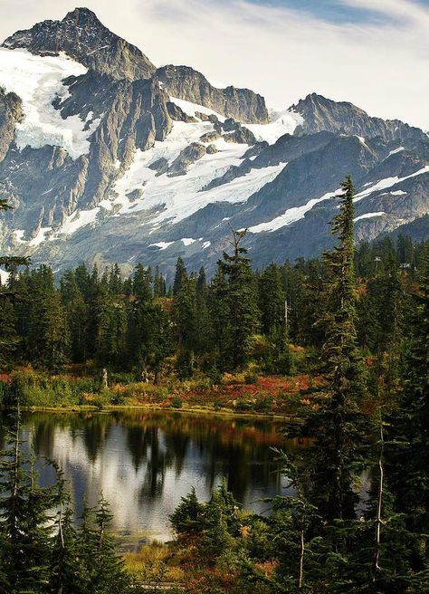 Mt Shuksan, Cascade National Park, North Cascades National Park, Cascade Mountains, North Cascades, Road Trip Usa, Pine Trees, Mountain Range, Washington State