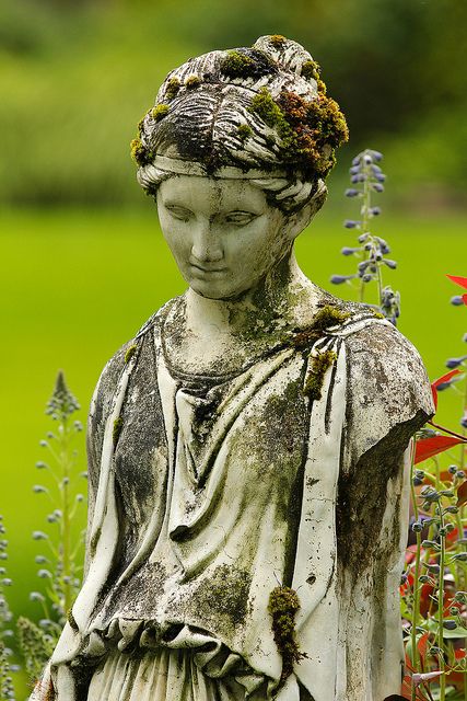 An old statue, who's arms had been knocked off long ago, is now a home for moss and lichen, among other living things. Moss And Lichen, Chilliwack Bc, Garden Statuary, Statue Fountain, Living Statue, White Raven, Garden Figures, Mermaid Statues, Gothic Garden