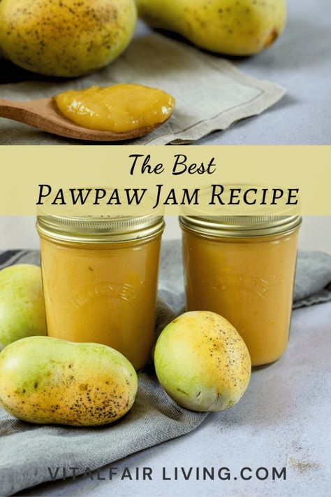 Easy Pawpaw Jam Recipe - Vital Fair Living Pawpaw Jam Recipe, Pawpaw Recipes Desserts, Paw Paw Jam, Recipes For Pawpaws, Pawpaw Fruit Recipes, Paw Paw Bread Recipe, Paw Paw Fruit Recipes, Pawpaw Butter, Paw Paw Recipe