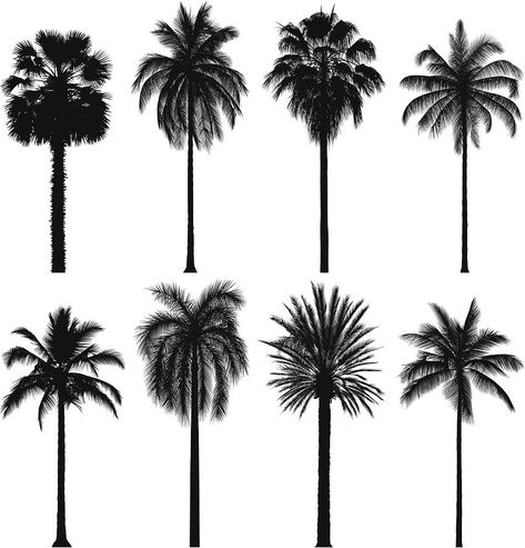 Trees Tattoos, Palm Tree Tattoo Ankle, Herren Hand Tattoos, Palm Tree Drawing, Palm Tree Vector, California Palm Trees, Palm Tattoos, Frida Art, Palm Tree Silhouette