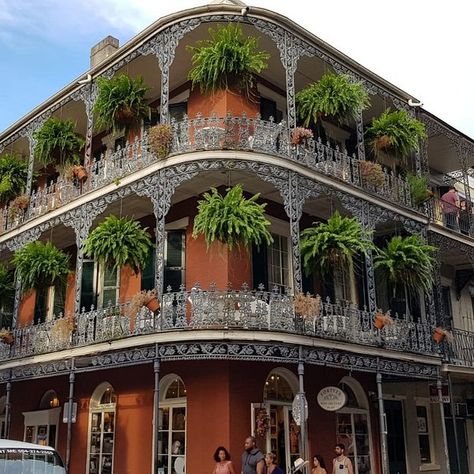 New Orleans Royal Street, Royal Street New Orleans, Vintage New Orleans Aesthetic, New Orleans Beach, Louisiana Vacation, Louisiana Style, New Orleans Hotels, Georgia Aquarium, New Orleans French Quarter