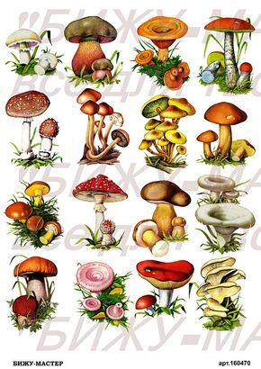 Rice paper decoupage #160470 vintage Decoupage supplies napkins Mushroom Stickers, Handmade Diary, Kawaii Planner, Garden Mushrooms, Paper Decoupage, Rice Paper Decoupage, Stickers Vintage, Vintage Mushroom, Creative Stationery