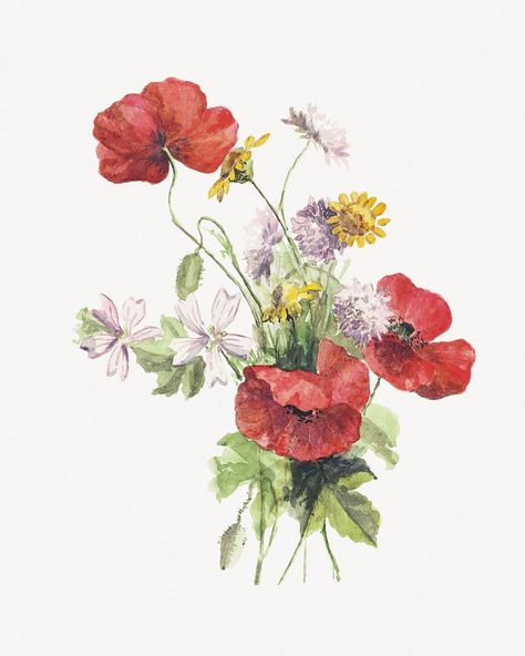 Flower Bouquet Illustration, Wild Flower Bouquet, Bouquet Illustration, Flowers Poppy, Flower Poppy, Poppy Bouquet, Vintage Bouquet, Wildflower Bouquet, Flower Vintage