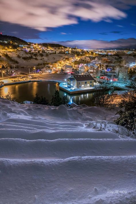 Quidi Vidi Village St John's Newfoundland Canada St Johns Canada, Quidi Vidi Newfoundland, Newfoundland Canada Aesthetic, St Johns Newfoundland Canada, Newfoundland Aesthetic, Newfoundland Houses, Newfoundland Photography, St Johns Newfoundland, Canada Newfoundland