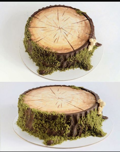 Earthy Cake, Cream Cheese Mousse, Stump Cake, Tree Stump Cake, Cheese Mousse, Woodland Cake, Log Cake, Wood Cake, Gateaux Cake