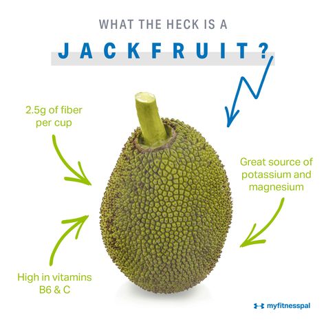 Jackfruit info Asian Fruit, Seeds Recipes, Raw Jackfruit, Jackfruit Seeds, Jackfruit Tree, Jackfruit Curry, Funky Fruit, Fruit Nutrition, Cooking Substitutions