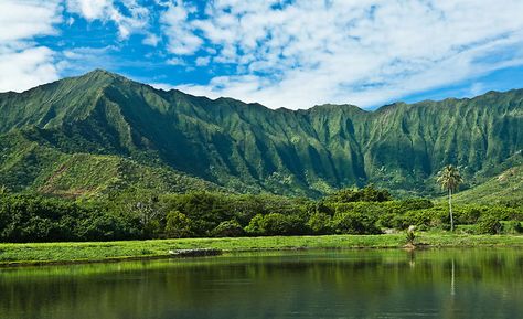 Koolau Mountain Range Hawaii - ThingLink Hawaii Wallpaper Laptop, Hawaii Wallpaper Desktop, Hawaii Mountains Painting, Hawaii Mountains, Kilauea Volcano Hawaii, Koolau Mountains Hawaii, Mountain Aesthetic, Mountain Images, Hawaiian Vacation