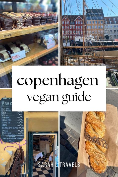 Five must-try vegan restaurants in Copenhagen, Denmark! Copenhagen Vegan Food, Vegan Copenhagen, Copenhagen Vegan, Masters Abroad, Copenhagen Trip, Copenhagen Cafe, Denmark Travel Guide, Best Vegan Restaurants, Copenhagen Travel