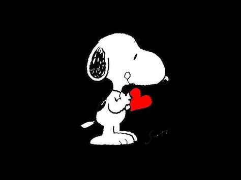 Snoopy Black Background, Snoopy Widget, Black Bg, Snoopy Valentine, Snoopy Wallpaper, Black Board, Valentines Wallpaper, Color Aqua, Fav Characters