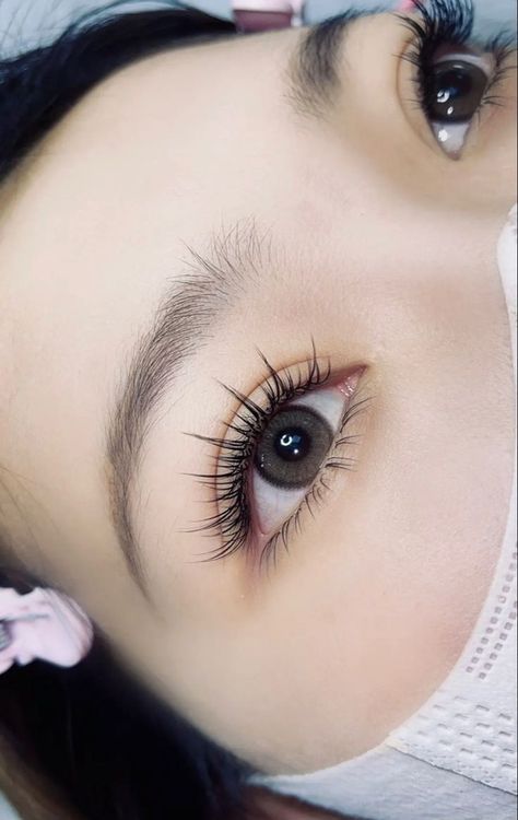 Doll Eye Lash, Natural Extensions, Wispy Volume, Natural Fake Eyelashes, Beige Blond, Lash Extensions Makeup, Lashes Extensions, Eyelash Extensions Styles, Lash Extensions Styles