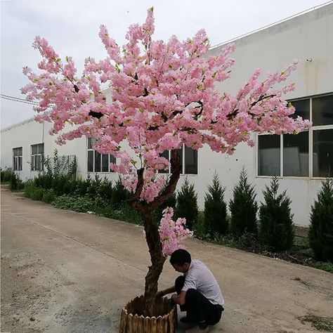 Amazon.com: Large Artificial Japanese Pink Cherry Blossom Tree - Handmade Silk Flower Decoration for Wedding Event, Indoor Outdoor Party Restaurant - 1.8x1m/5.9x3.2ft : Home & Kitchen Sakura Wedding Decoration, Flower Decoration For Wedding, Artificial Cherry Blossom Tree, Pink Cherry Blossom Tree, Japanese Pink, Cherry Blossom Wall Art, Round Decoration, Party Restaurant, Decoration For Wedding