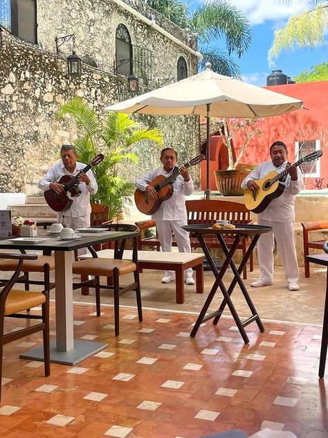 Wondering where to eat in Merida, the cultural capital of the Yucatan region of Mexico? Here are the best restaurants in Merida according the Melissa of Mexico Travel Secrets. Mexico Restaurants, Merida Yucatan Mexico, Colonial Mansion, Merida Mexico, City Plan, Merida Yucatan, Travel Secrets, Cultural Capital, Yucatan Mexico