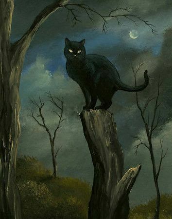 Animals Easy To Draw, Cute Pictures Of Animals, Painting Moon, Black Cat Painting, Horror Themes, Black Cat Art, Halloween Painting, Moon Night, Galaxy Art