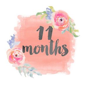 11 months onesie sticker 4 Month Old Baby, 4 Month Baby, Baby Month Stickers, 6 Month Old Baby, Month Stickers, Baby Stickers, 4 Month Olds, Baby Album, Milestone Cards