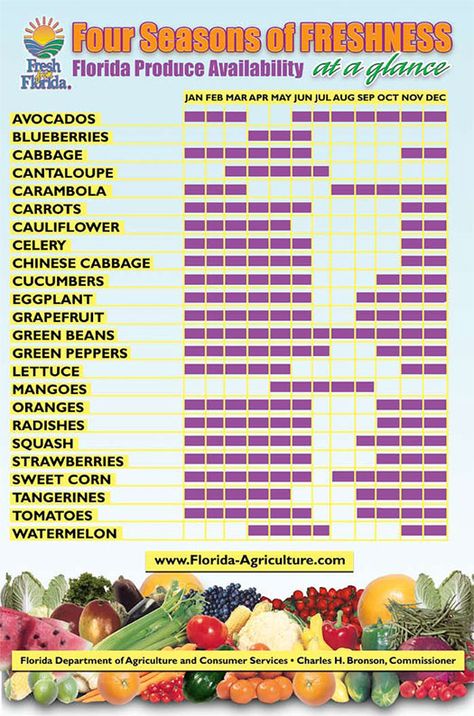 Florida's seasonal Fruits and Vegetables South Florida Vegetable Gardening, Homesteading In Florida, Florida Gardens, Seasons Chart, Florida Garden, Florida Landscaping, Homestead Life, Florida Plants, Florida Gardening